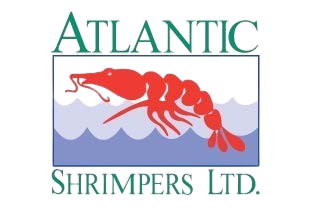 Home whatsapp image 2025 11 24 at 12.28.11 23c85e27 removebg preview